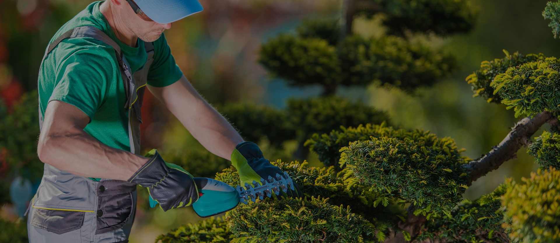 Çevre Düzenleme & Peyzaj